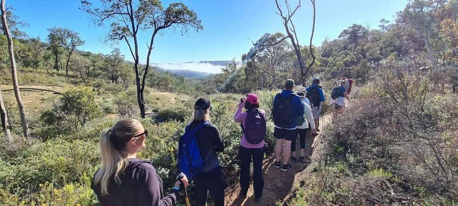 Perth: Perth Hills Hike, Wine & Dine - Challenging Sections and Scenic Rewards