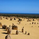 Perth: Pinnacles Desert & Sand Dunes Private Day Tour - Why This Tour Offers Great Value
