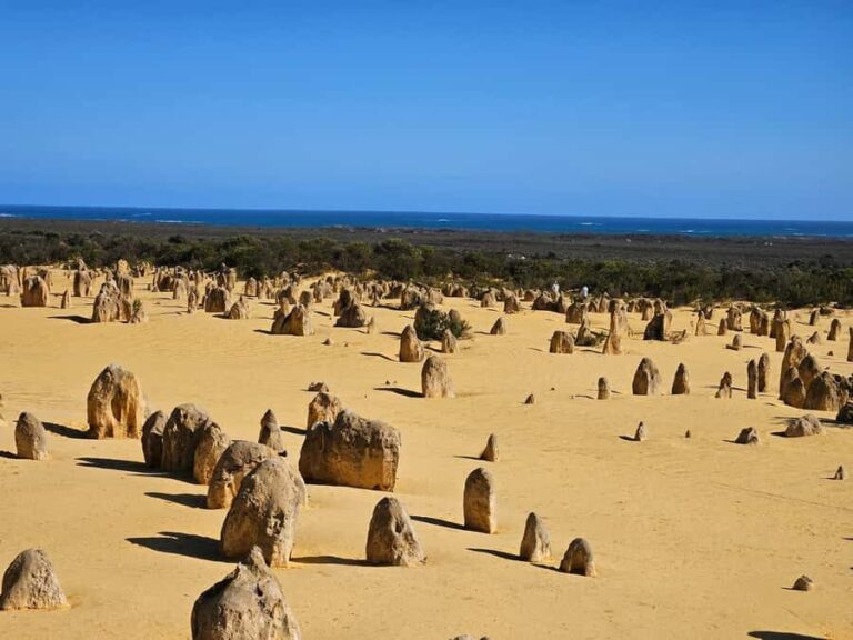 Perth: Pinnacles Desert & Sand Dunes Private Day Tour - Why This Tour Offers Great Value