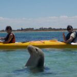 Perth: Shoalwater Islands Marine Park Sea Kayaking Tour - Frequently Asked Questions