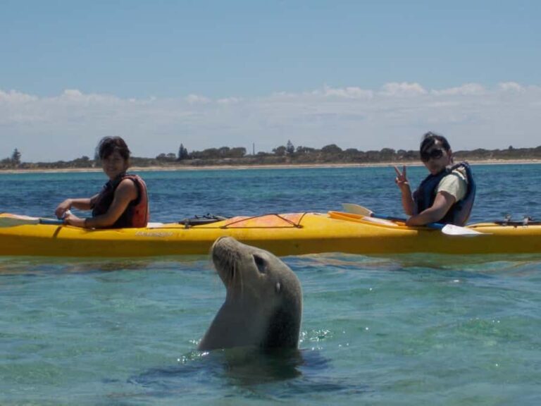 Perth: Shoalwater Islands Marine Park Sea Kayaking Tour - Frequently Asked Questions