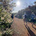 Perth: Swan View Tunnel, Falls, and Eagle View Hike - Value Breakdown