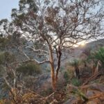 Perth: Waterfalls, Wildflowers & Wandoo Hiking Experience - Highlights and Authentic Experiences