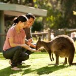 Perth Wildlife Park & City Highlights - Small Group Tours - Why This Tour Offers Great Value