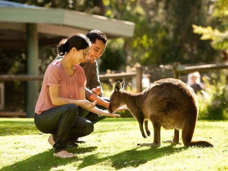 Perth Wildlife Park & City Highlights - Small Group Tours - Why This Tour Offers Great Value