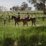 Petaluma: Horseback Riding and Wine Tasting Tour - The Sum Up