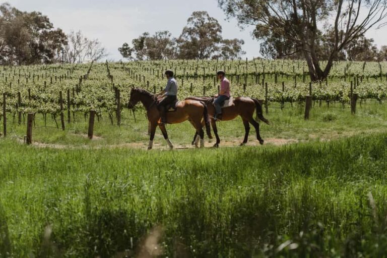 Petaluma: Horseback Riding and Wine Tasting Tour - The Sum Up