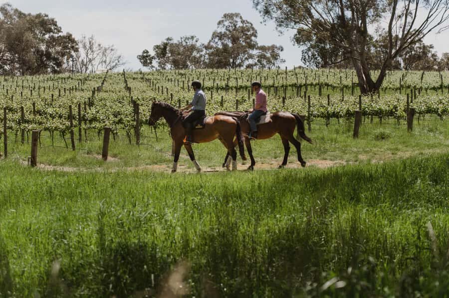 Petaluma: Horseback Riding and Wine Tasting Tour - The Sum Up
