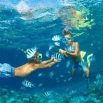 Phi Phi Islands Day Tour from Khaolak - Who Is This Tour Best For?