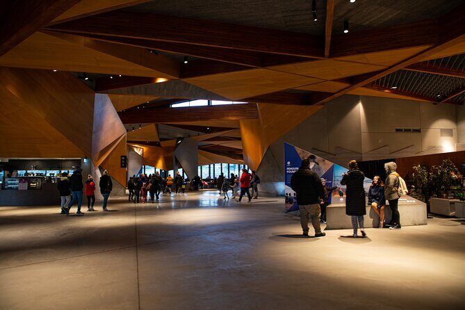 Phillip Island Direct Tour Penguin Parade and Coastal Views - Why Value Matters