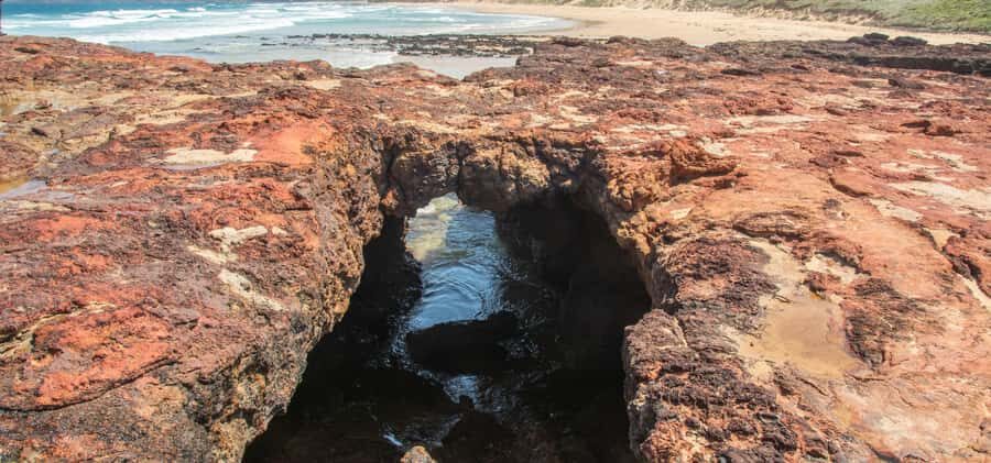 Phillip Island Driving Tour with an APP - Exploring the Itinerary: What to Expect at Each Stop