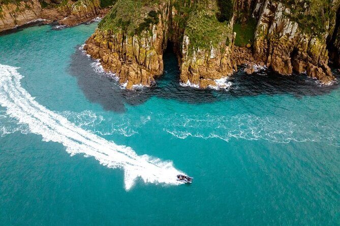 Phillip Island Hop on Hop off Bus - What to Expect at Each Stop