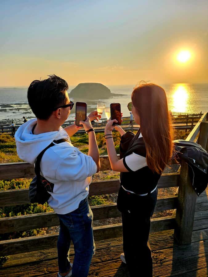 Phillip Island: Wine, Wildlife & Penguins with Gourmet Feast - Who Would Love This Tour?