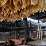 Phnom Penh: 4-Days Local Culture Experience - Countryside Escape: Serenity and Scenic Beauty