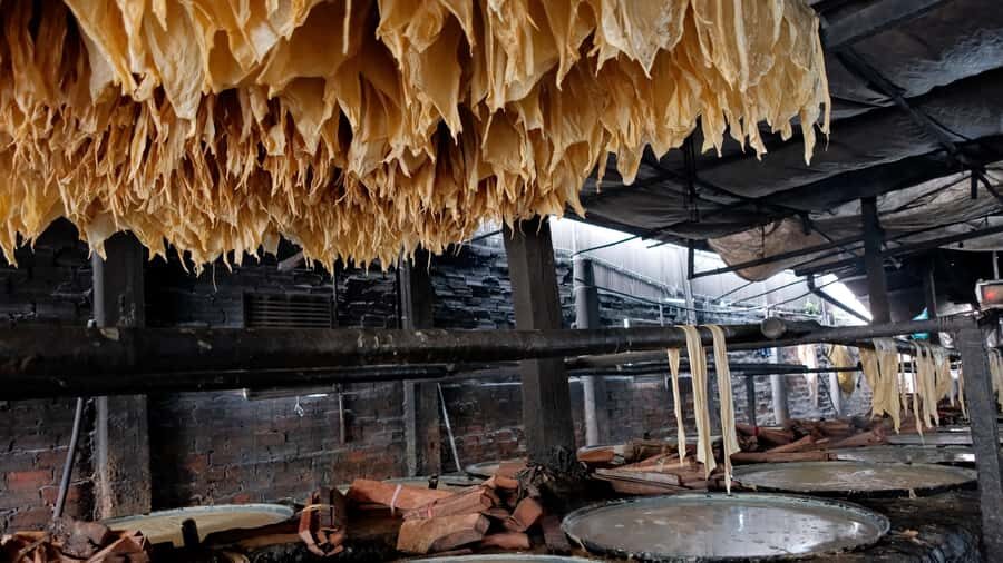 Phnom Penh: 4-Days Local Culture Experience - Countryside Escape: Serenity and Scenic Beauty