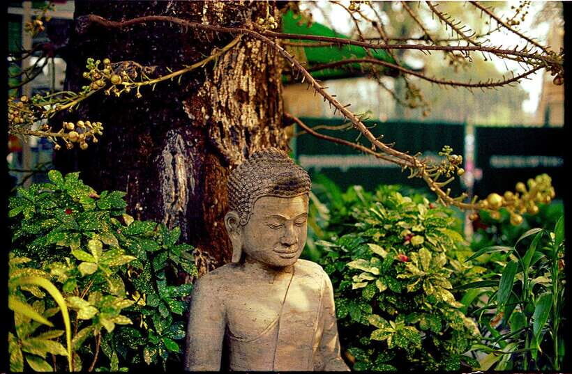 Phnom Penh: Private Walking Tour with a Local - Who Will Love This Tour?