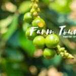 Phnom Penh to Kep Day Trip Scenic Train & Coastal Discovery - Transportation, Group Size, and Value