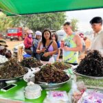 Phnom Penh to Siem Reap Private Car Transfer - The Itinerary: What to Expect