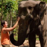 Phnom Tamao Wildlife Center & Buddha Kiri Cambodia Day Tour - The Practical Side: Transportation & Guides