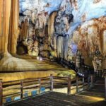 Phong Nha and Paradise Caves Full Day Tour - What Travelers Say: Insights from Real Experiences