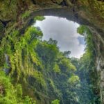 Phong Nha & Paradise Cave 1 Day From Dong Hoi/ Phong Nha Center - What Makes This Tour Valuable?