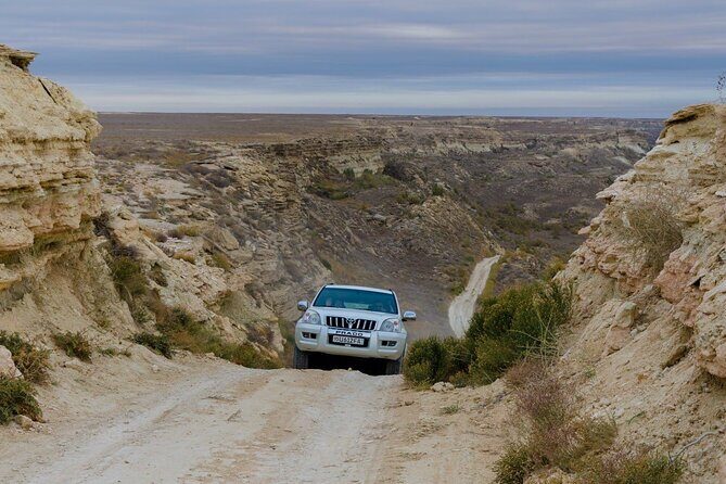 Photo Tour to Aral Sea from Khiva or Nukus - Who This Tour Is Perfect For