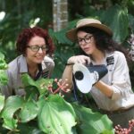Photography and Nature in Cairns Botanic Gardens Let's Go Buggin - Authentic Experiences from Reviewers