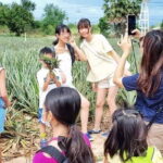 Phraya Nakhon Cave, Sam Roi Yod National Park - The Sum Up
