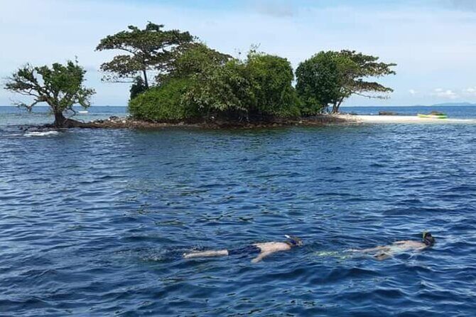 Phu Quoc 1Day Tour Diving with pro guide - Potential Drawbacks and Considerations