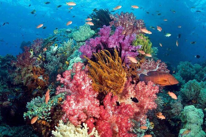 Phu Quoc 3 Island Snorkeling Adventure by Boat - What’s Included and What’s Not?  