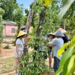 Phu Quoc: Classical Army Jeep Tour to North Island - Practical Details & Tips