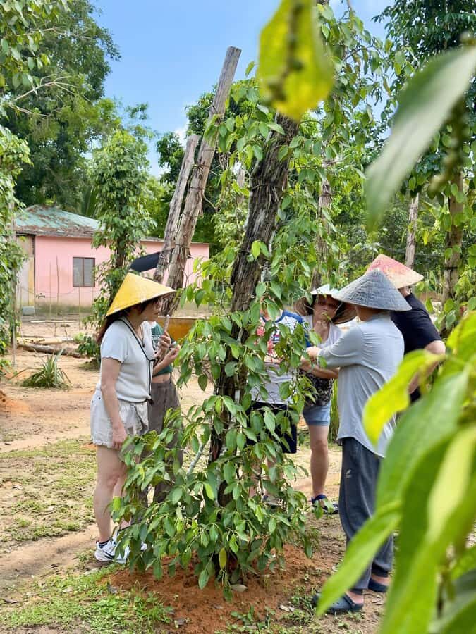 Phu Quoc: Classical Army Jeep Tour to North Island - Practical Details & Tips