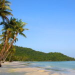 Phu Quoc Cua Can river Full Day Tour - Potential Drawbacks and Considerations