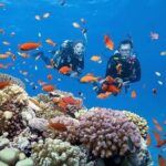 Phu Quoc Escape Boat Journey to Two Stunning Islands - What’s Included & What You Should Consider