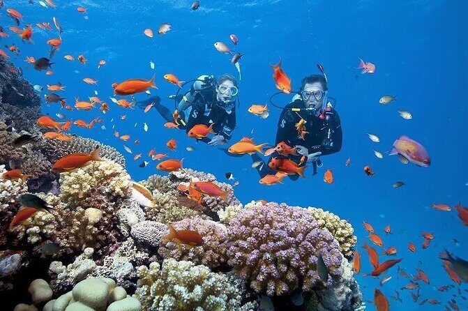 Phu Quoc Escape Boat Journey to Two Stunning Islands - What’s Included & What You Should Consider