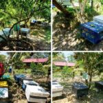 Phu Quoc: Honey Farm, Starfish Beach, and Grand World Tour - Practical Details You Should Know