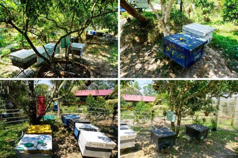 Phu Quoc: Honey Farm, Starfish Beach, and Grand World Tour - Practical Details You Should Know