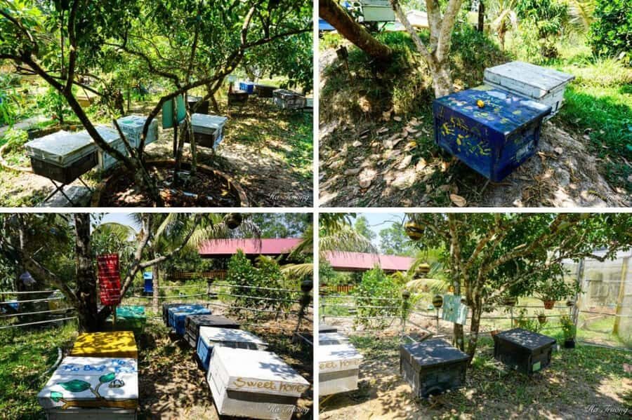 Phu Quoc: Honey Farm, Starfish Beach, and Grand World Tour - Practical Details You Should Know