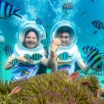 Phu Quoc Paradise Night Tour with Nautilus Sunset Cruise - A Deep Dive into the Nautilus Sunset Cruise Experience