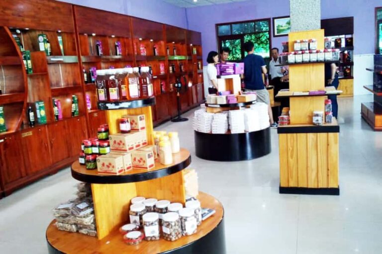 Phu Quoc South Island Tour  Lunch & No-Pressure Shopping - A Deep Dive into the Phu Quoc South Island Tour