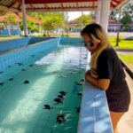 Phuket: Bamboo Raft, ATV & Sea Turtle Private Tour Khao Lak - Bamboo Rafting through Rainforest Serenity