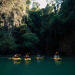 Phuket: Bioluminescent Plankton Cave Kayaking with Dinner - Practicalities and Tips