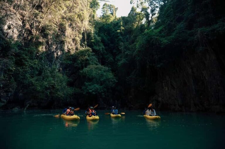 Phuket: Bioluminescent Plankton Cave Kayaking with Dinner - Practicalities and Tips