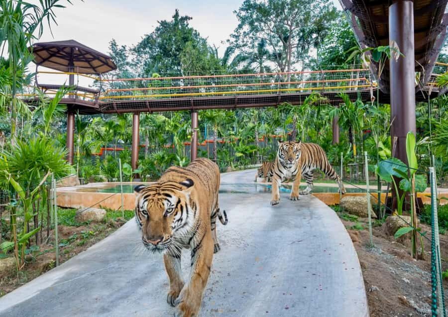 Phuket: Bird Park, Elephant Feeding, ATV Ride & City Tour - Practicalities: What You Should Know