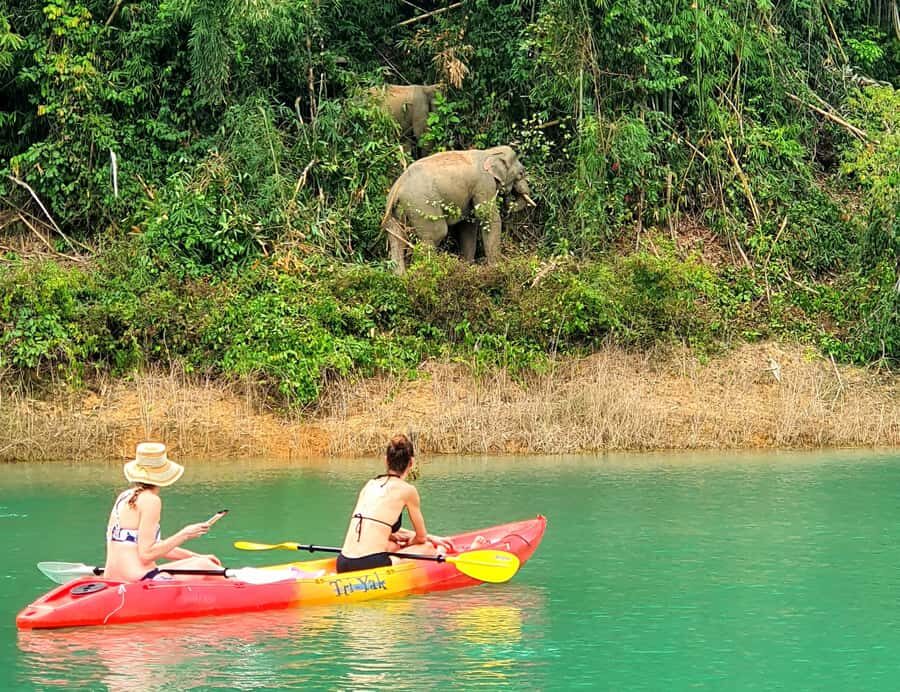 Phuket: Cheow Lan Lake, Diamond Cave, Hiking, All Included - What to Expect from the Cheow Lan Lake Tour