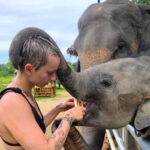 Phuket City Tour with Night Market Visit & Elephant Feeding - Exploring Phuket’s Cultural Heart