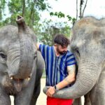 Phuket: Elephant Experience with Lunch or Dinner and Pickup - What Travelers Love Most