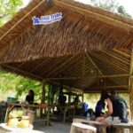 Phuket: Elephant Sanctuary Guided Tour with Hotel Transfers - The Itinerary Breakdown