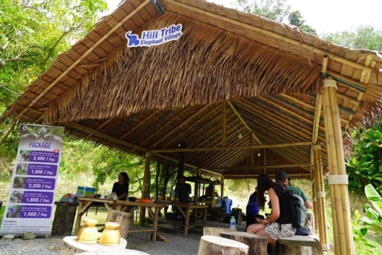 Phuket: Elephant Sanctuary Guided Tour with Hotel Transfers - The Itinerary Breakdown