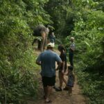 Phuket: Elephant Sanctuary Visit - Cooking Class & Lunch - Overview of the Experience